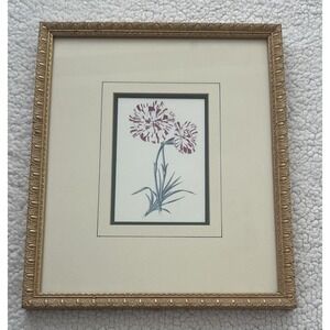 Miniature Carnation Flower 18th Century Italian Reprint Framed W. King Ambler